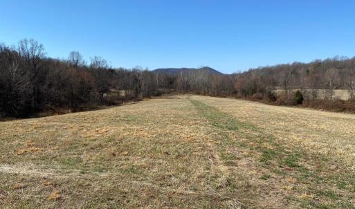 Photo #11 of WHITES FARM, CULPEPER, VA 41.0 acres