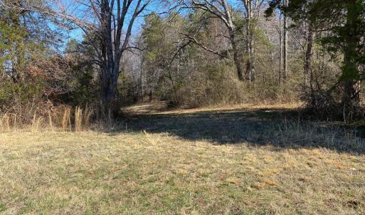 Photo #12 of WHITES FARM, CULPEPER, VA 41.0 acres