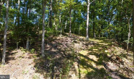 Photo #13 of 1242 LAKESHORE DR, LOUISA, VA 0.6 acres