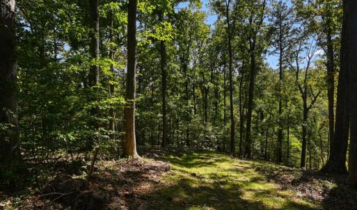 Photo #46 of 1242 LAKESHORE DR, LOUISA, VA 0.6 acres