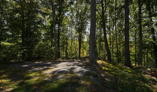 Photo #47 of 1242 LAKESHORE DR, LOUISA, VA 0.6 acres