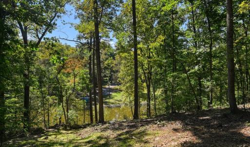 Photo #49 of 1242 LAKESHORE DR, LOUISA, VA 0.6 acres