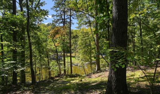 Photo #50 of 1242 LAKESHORE DR, LOUISA, VA 0.6 acres