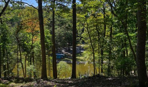 Photo #51 of 1242 LAKESHORE DR, LOUISA, VA 0.6 acres