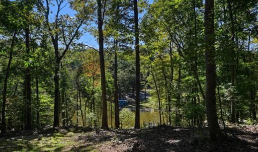 Photo #52 of 1242 LAKESHORE DR, LOUISA, VA 0.6 acres
