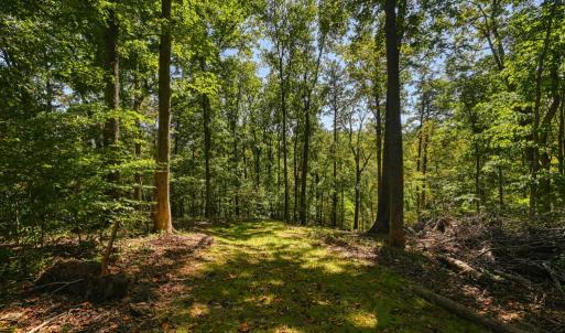 Photo #53 of 1242 LAKESHORE DR, LOUISA, VA 0.6 acres