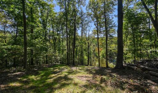 Photo #54 of 1242 LAKESHORE DR, LOUISA, VA 0.6 acres