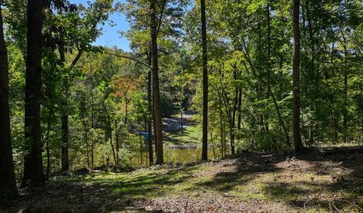 Photo #8 of 1242 LAKESHORE DR, LOUISA, VA 0.6 acres