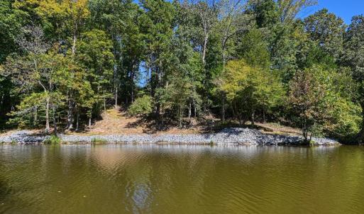 Photo #10 of 1242 LAKESHORE DR, LOUISA, VA 0.6 acres