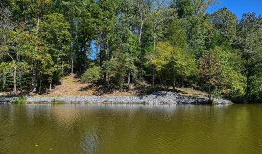 Photo #35 of 1242 LAKESHORE DR, LOUISA, VA 0.6 acres