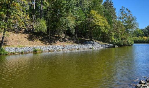 Photo #39 of 1242 LAKESHORE DR, LOUISA, VA 0.6 acres