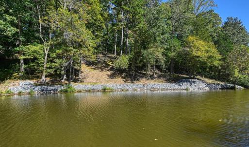 Photo #40 of 1242 LAKESHORE DR, LOUISA, VA 0.6 acres