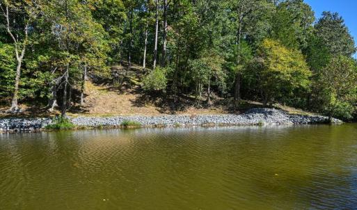 Photo #41 of 1242 LAKESHORE DR, LOUISA, VA 0.6 acres
