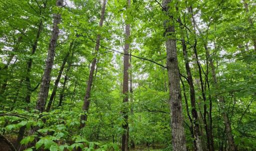 Photo #3 of GLEN EAGLES, GORDONSVILLE, VA 0.5 acres