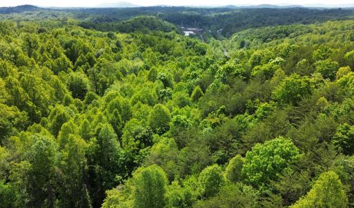 dji_fly_20250510_140050_492_174683512718