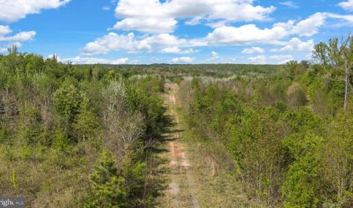Photo #6 of MONROVIA RD, ORANGE, VA 38.3 acres