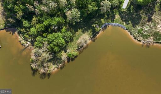 Photo #17 of MONROVIA RD, ORANGE, VA 38.3 acres