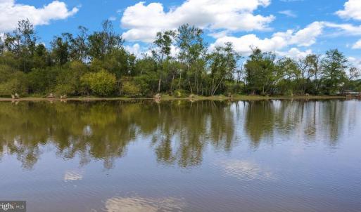 Photo #22 of MONROVIA RD, ORANGE, VA 38.3 acres