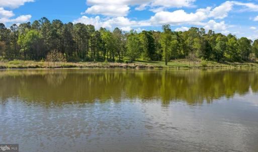 Photo #25 of MONROVIA RD, ORANGE, VA 38.3 acres