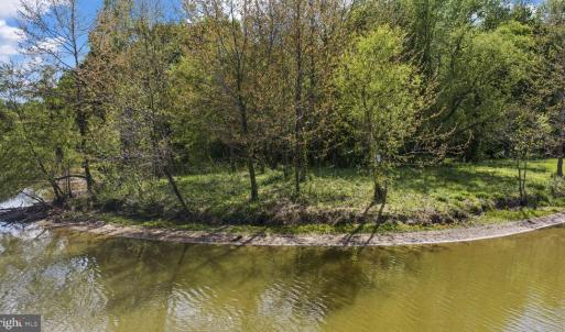 Photo #4 of MONROVIA RD, ORANGE, VA 38.3 acres
