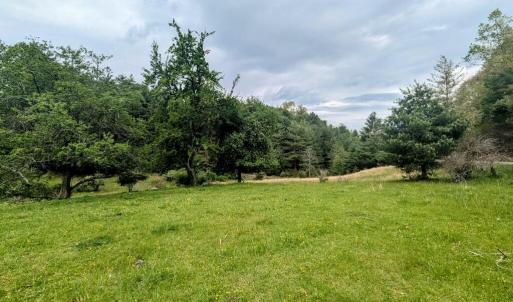 PXL_20250503_154152019~2