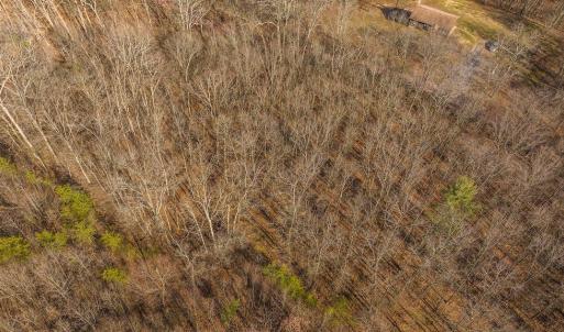 DJI_20250301151042_0401_D