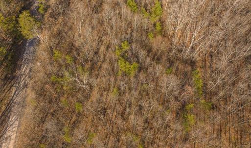 DJI_20250301151036_0400_D