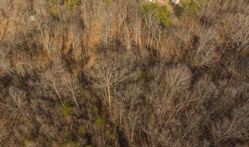 DJI_20250301151050_0402_D