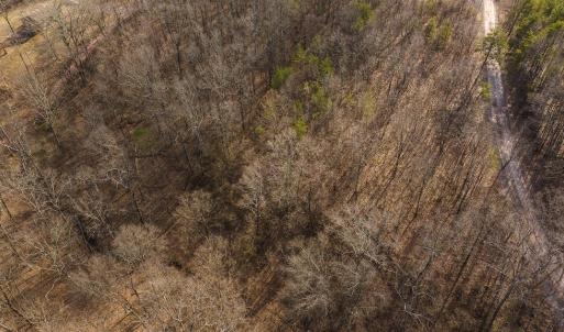 DJI_20250301150934_0396_D