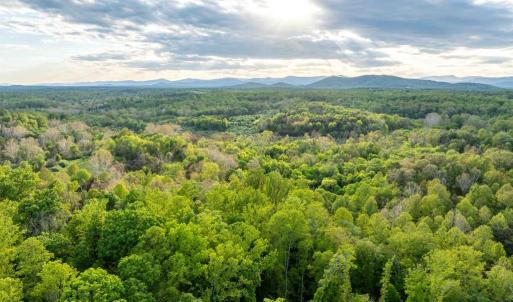 Photo #3 of 1 LOUISE LN, RAPIDAN, VA 64.1 acres
