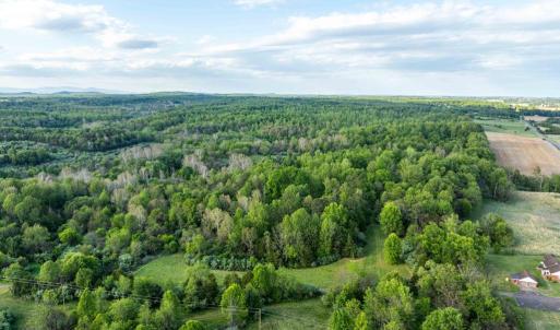 Photo #7 of 1 LOUISE LN, RAPIDAN, VA 64.1 acres