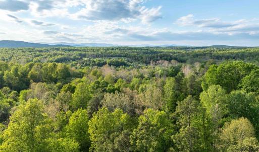 Photo #5 of 1 LOUISE LN, RAPIDAN, VA 64.1 acres