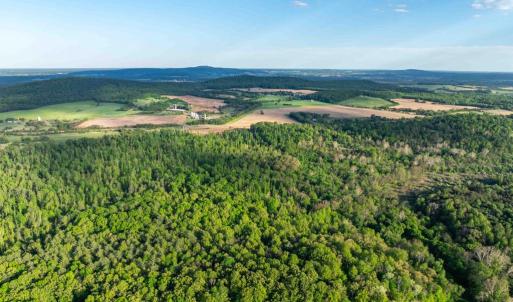Photo #6 of 1 LOUISE LN, RAPIDAN, VA 64.1 acres