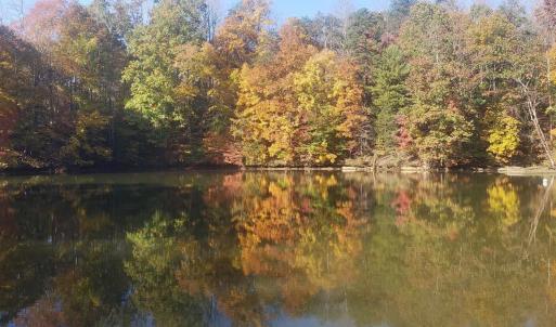 fall pic