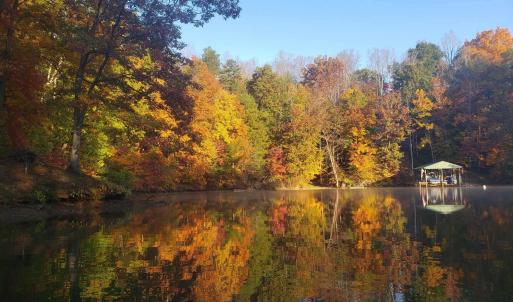 fall 2