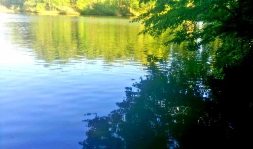 lake 3