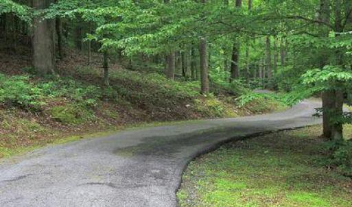 Meandering Drive
