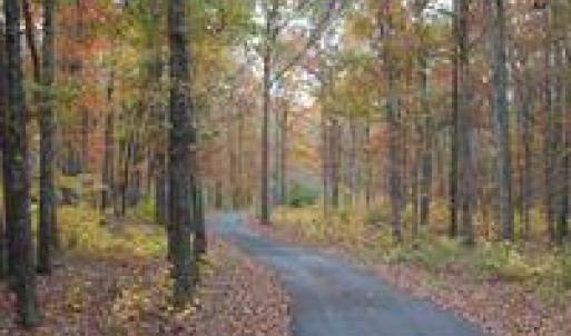 Paved Road