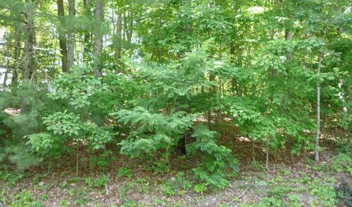 1.5 acre Givens-Tyler RD 001