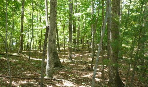 1.5 acre Givens-Tyler RD 002