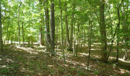 1.5 acre Givens-Tyler RD 003