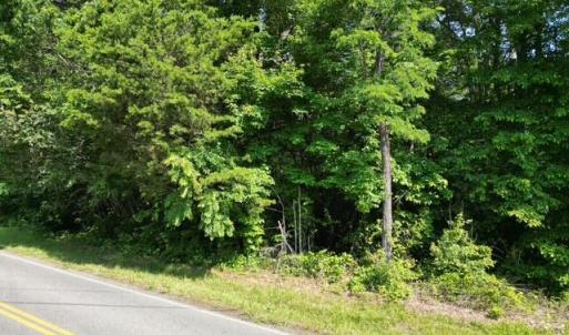 Wooded Acreage