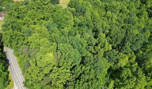 Wooded Acreage