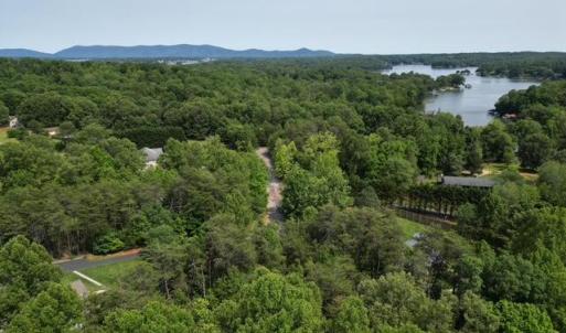 Smith Mountain Lake