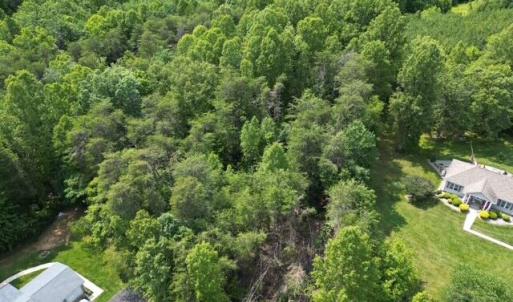 Wooded - Nice Privacy