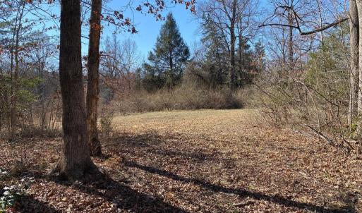 Photo #3 of WHITES FARM LANE, CULPEPER, VA 46.0 acres