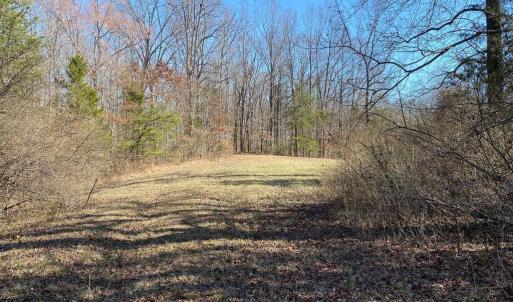 Photo #4 of WHITES FARM LANE, CULPEPER, VA 46.0 acres