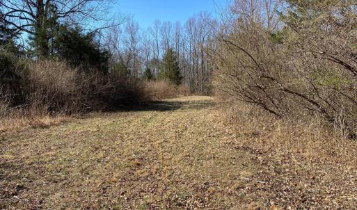 Photo #5 of WHITES FARM LANE, CULPEPER, VA 46.0 acres