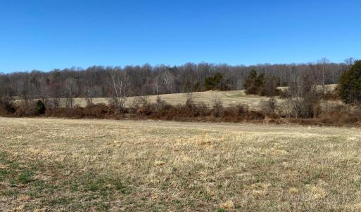 Photo #7 of WHITES FARM LANE, CULPEPER, VA 46.0 acres