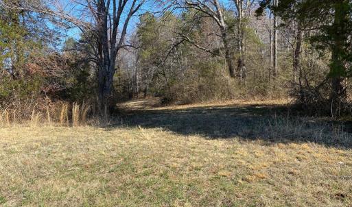 Photo #8 of WHITES FARM LANE, CULPEPER, VA 46.0 acres